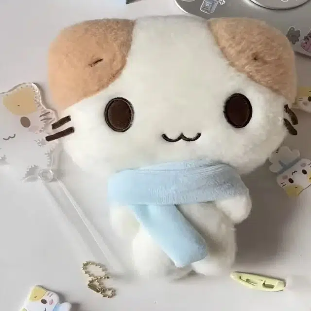 18cm30cm