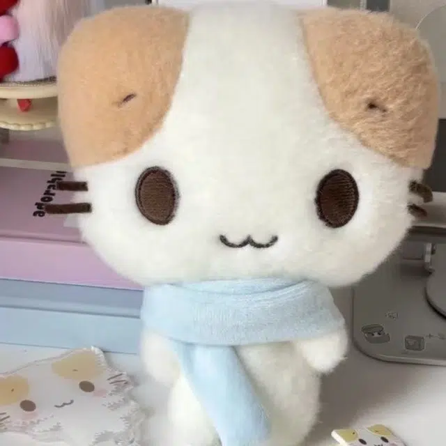 18cm30cm