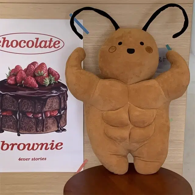 35cm50cm