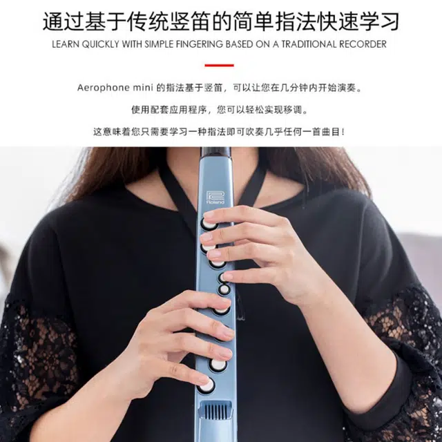 Roland AE01 Aerophone