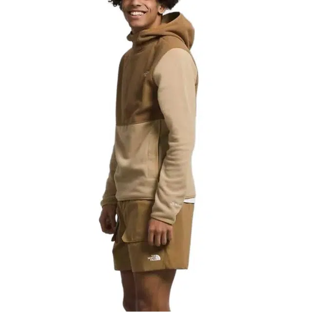 THE NORTH FACE polartec Alpine Polartec