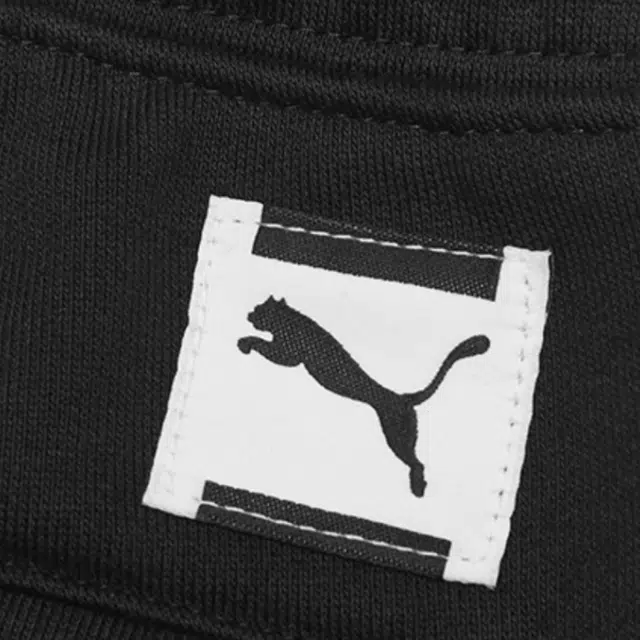 Puma Logo