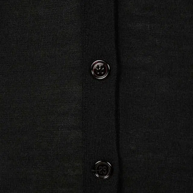 Alexander McQueen V