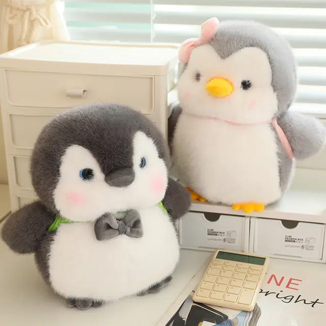 25cm35cm