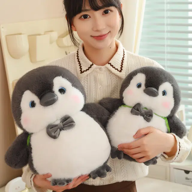 25cm35cm