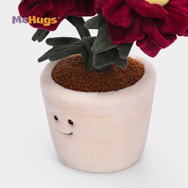 McHugs 27cm