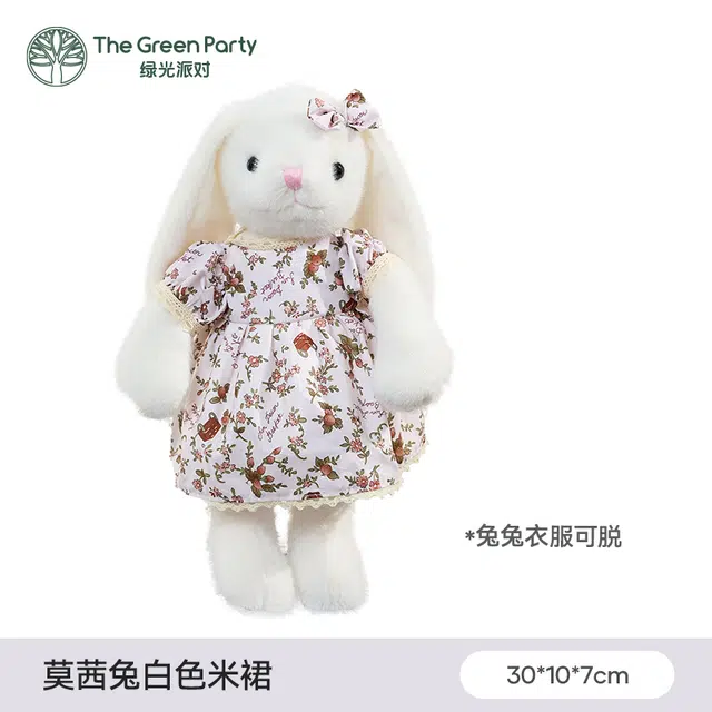 The Green Party 30cm26cm