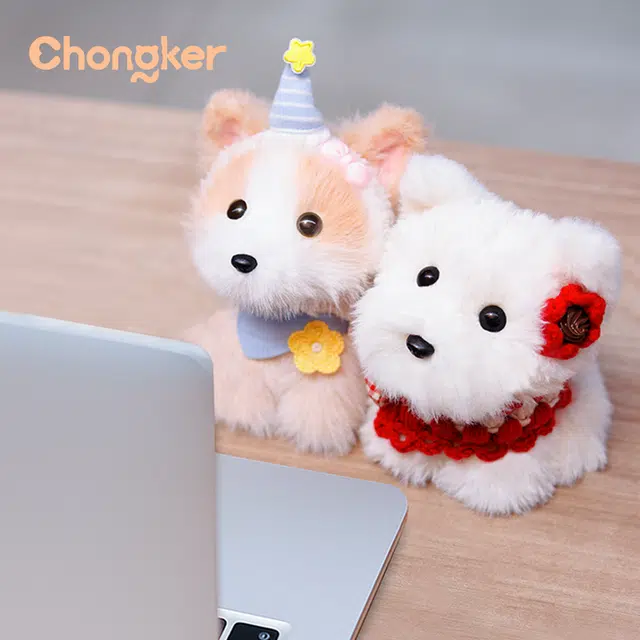Chongker 23cm-24cm