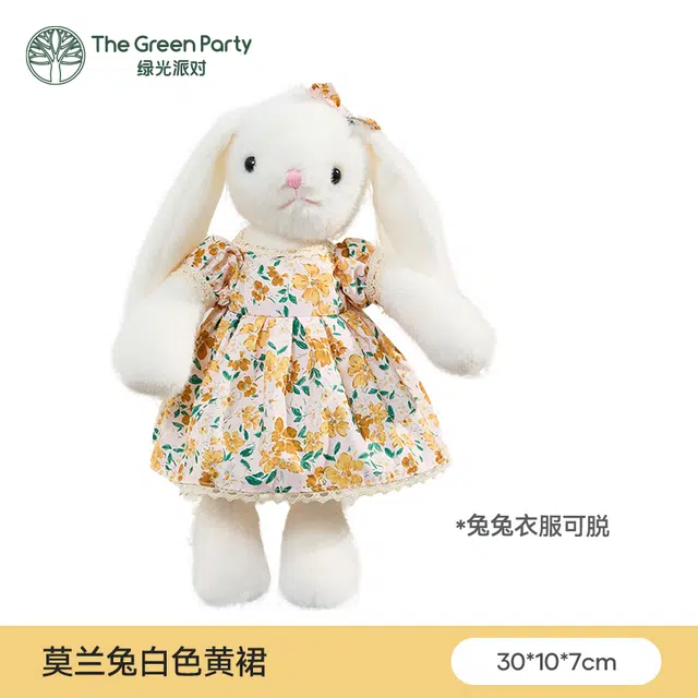 The Green Party 30cm26cm