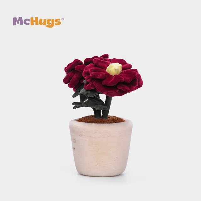 McHugs 27cm