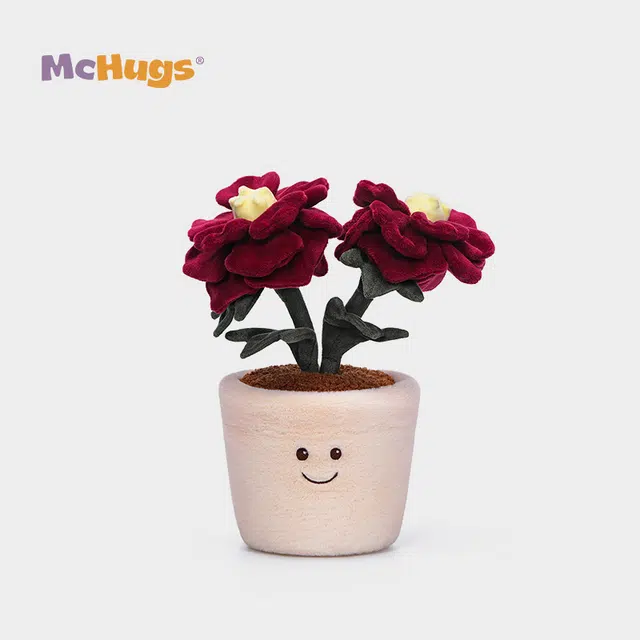 McHugs 27cm