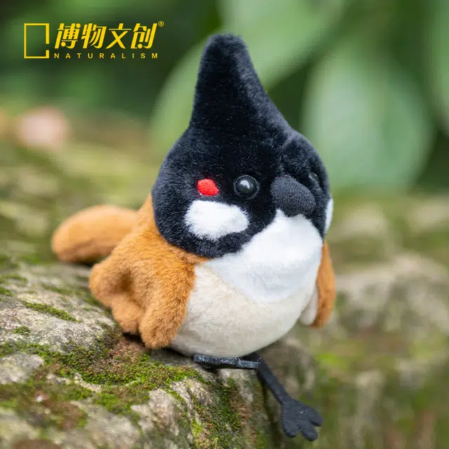 2 11cm8.5cm8cm9cm