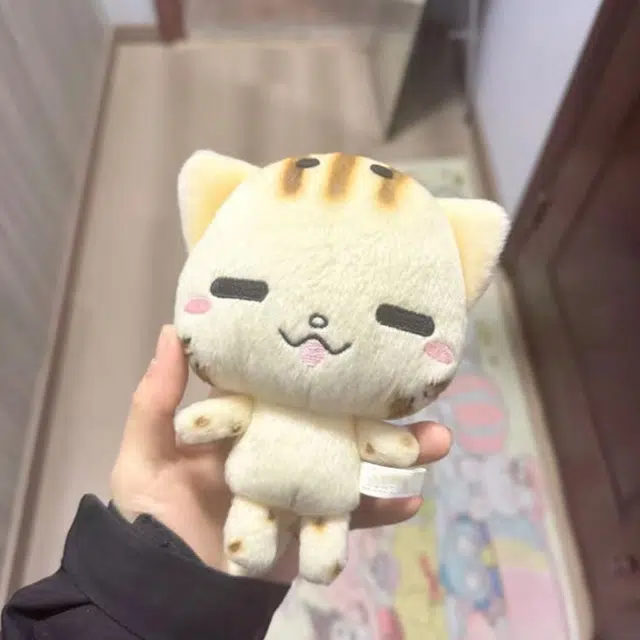 AECELI 15cm