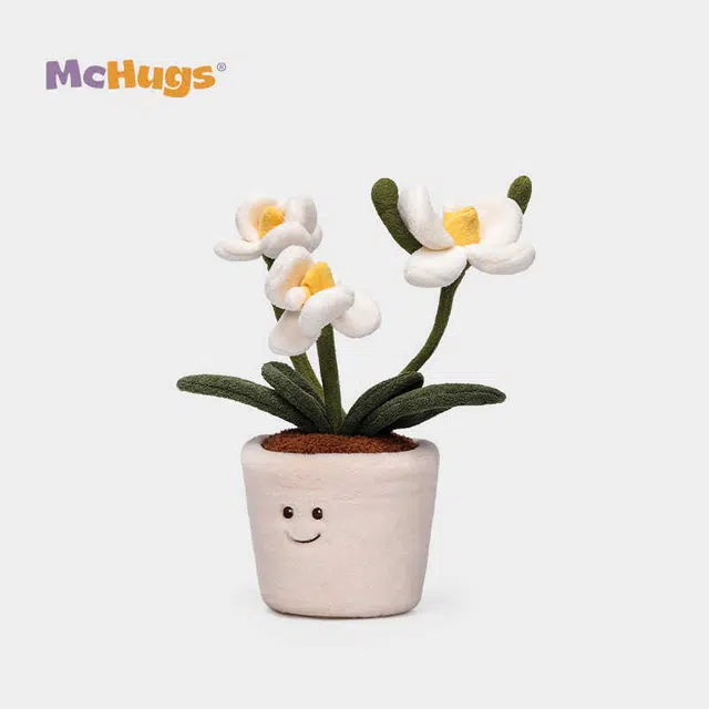 McHugs 26cm