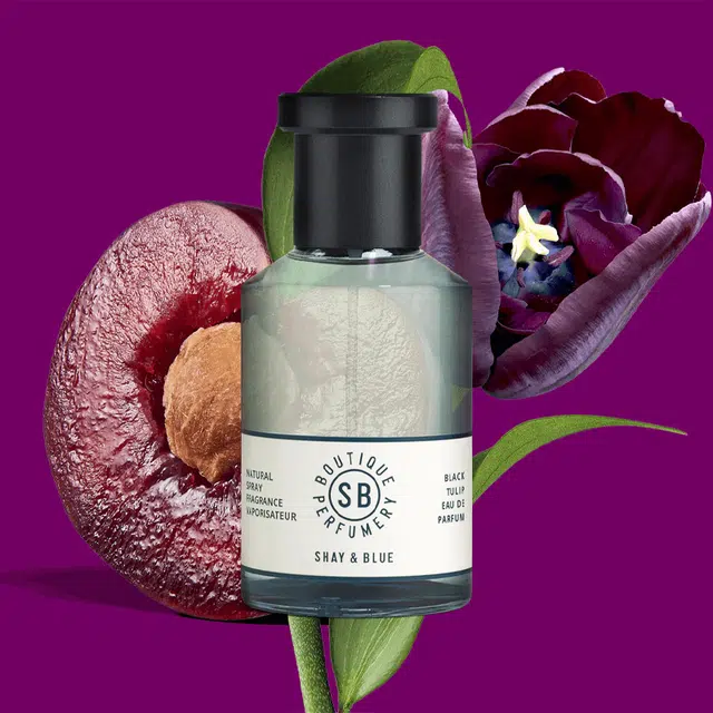 ShayBlue Black Tulip Fragrance EDP 100ml