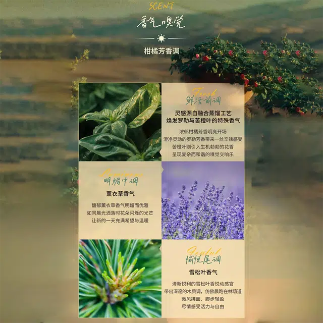 EDC 1.5ml1.5ml*21.5ml*31.5ml*51.5ml*8