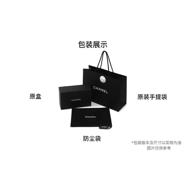 CHANEL 25Bag 25A Logo