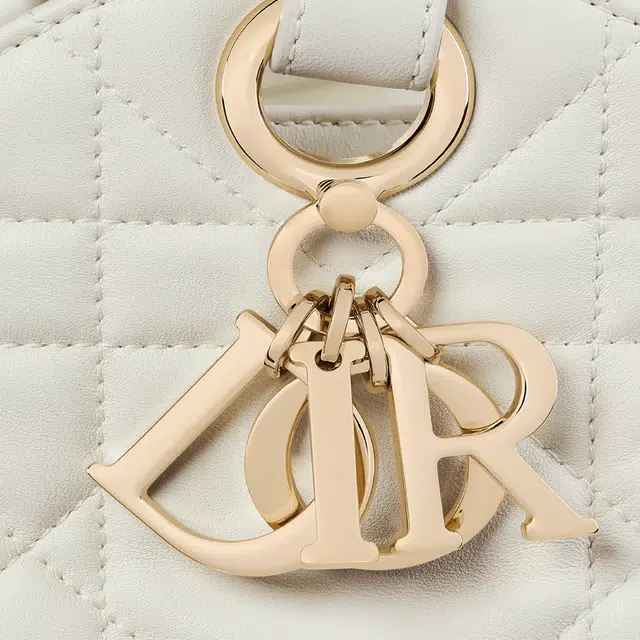 DIOR D-Motion