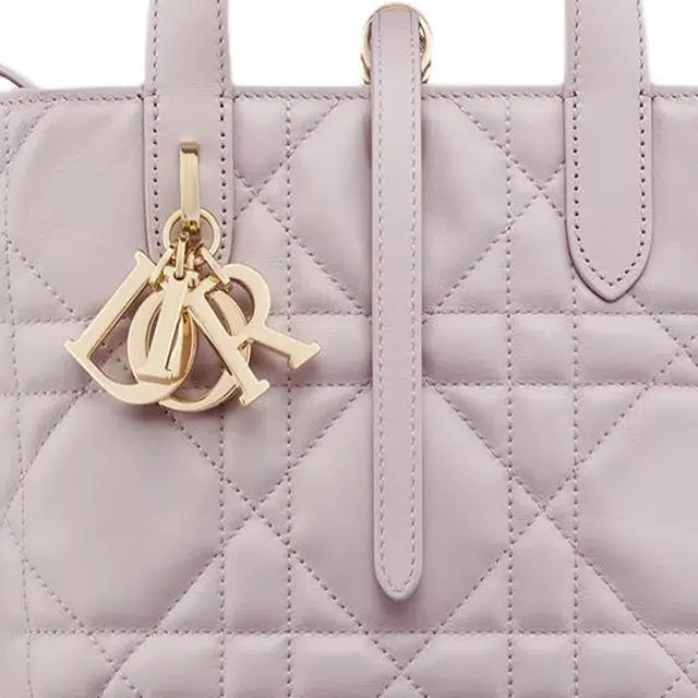 DIOR Toujours