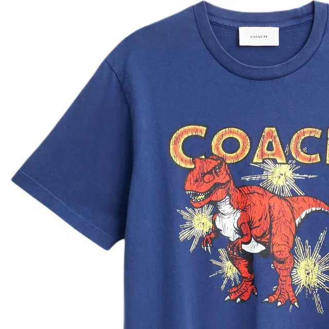 COACH FW25 T