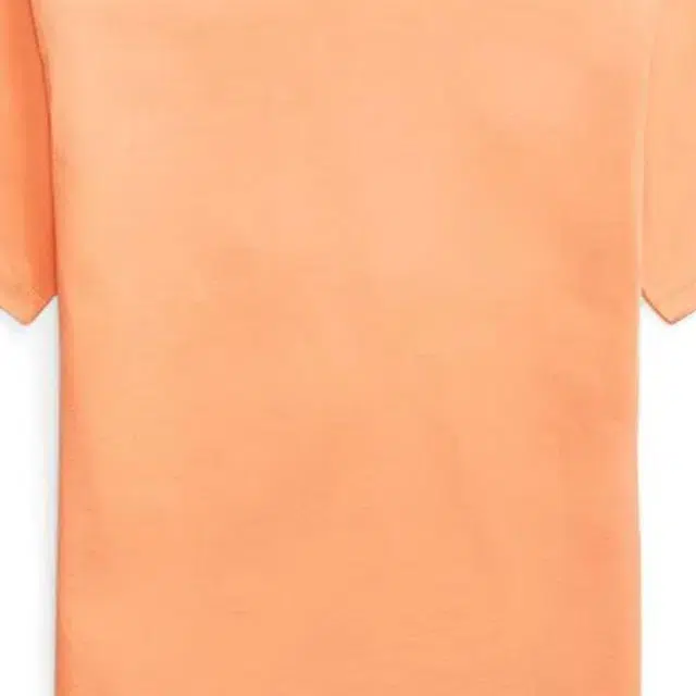 Polo Ralph LaurenT