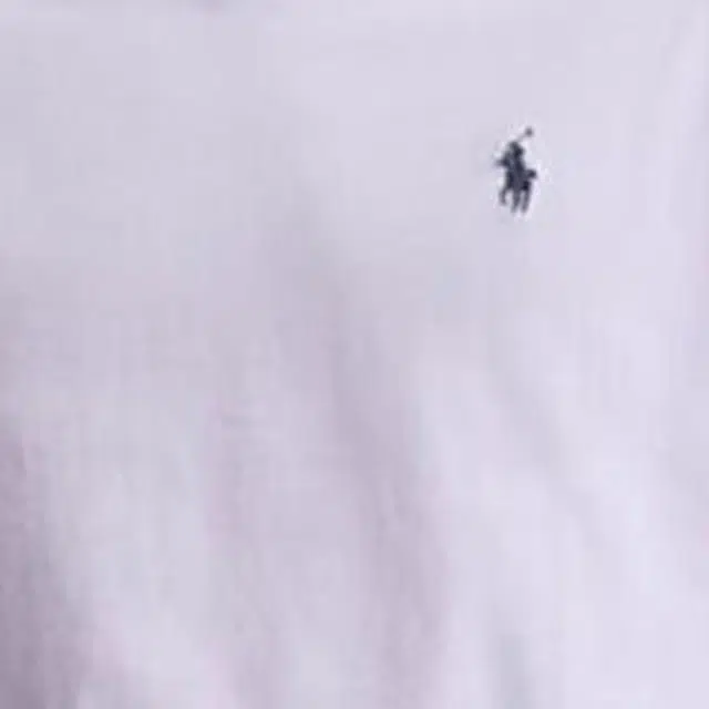 Polo Ralph Lauren SS25 VT