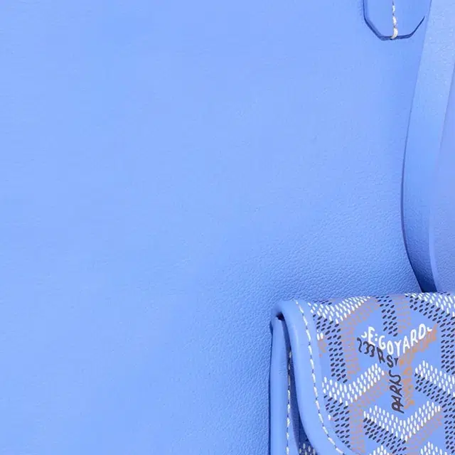 GOYARD Anjou Tote iris
