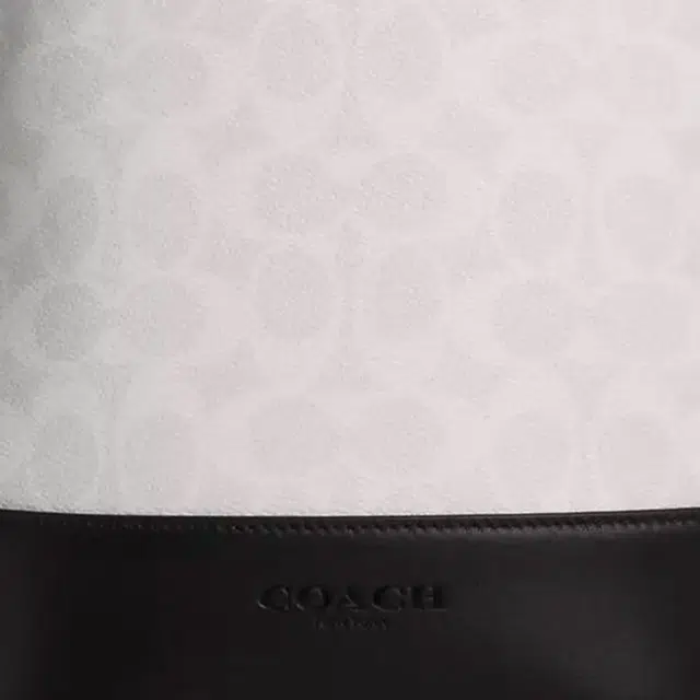 COACH Signature 18DominiqueLogo