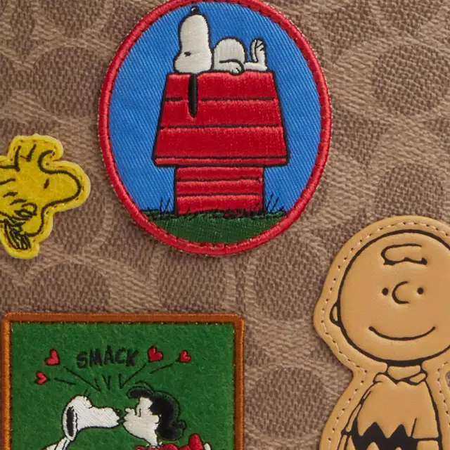 COACH PEANUTS Sullivan 27Pack