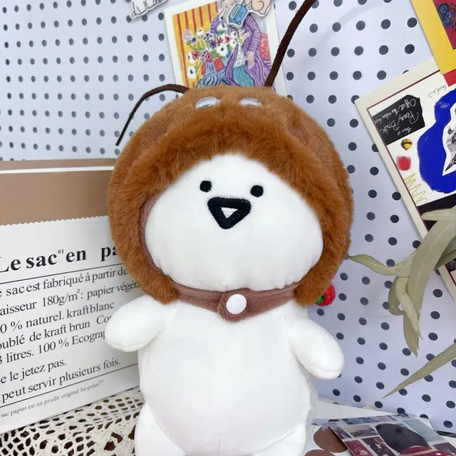 20cm