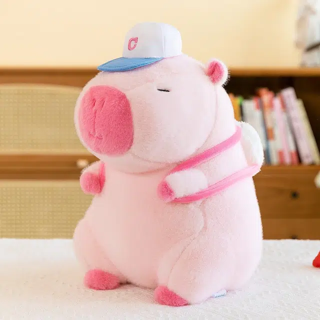 abay 22cm