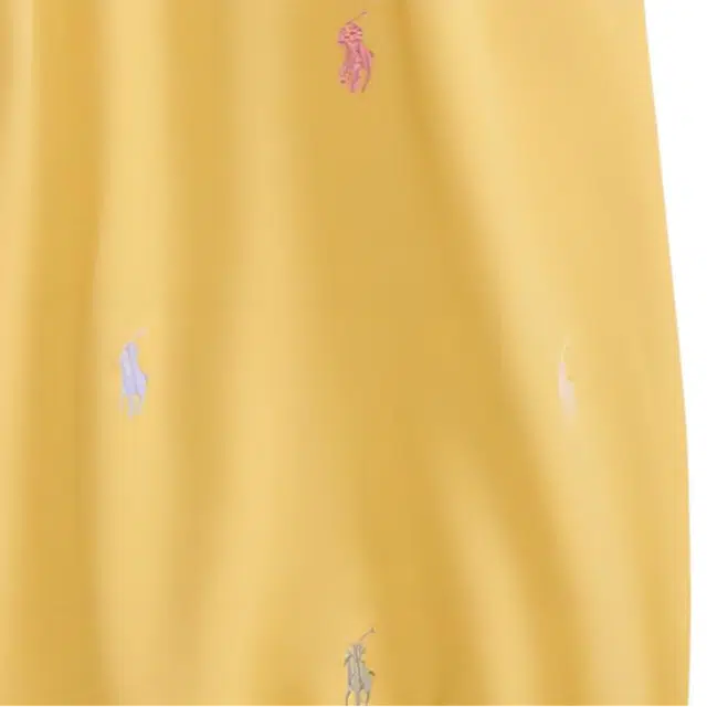 Polo Ralph Lauren FW25 Logo