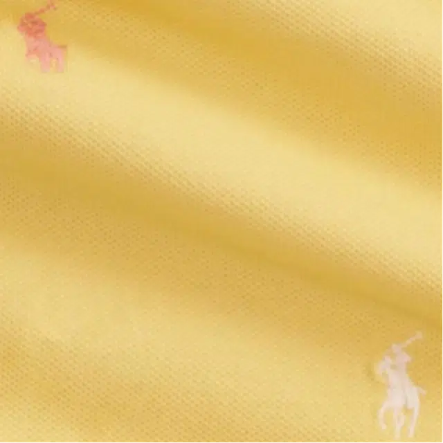 Polo Ralph Lauren FW25 Logo