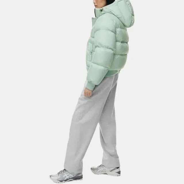 ARITZIA Super Puff Bomber