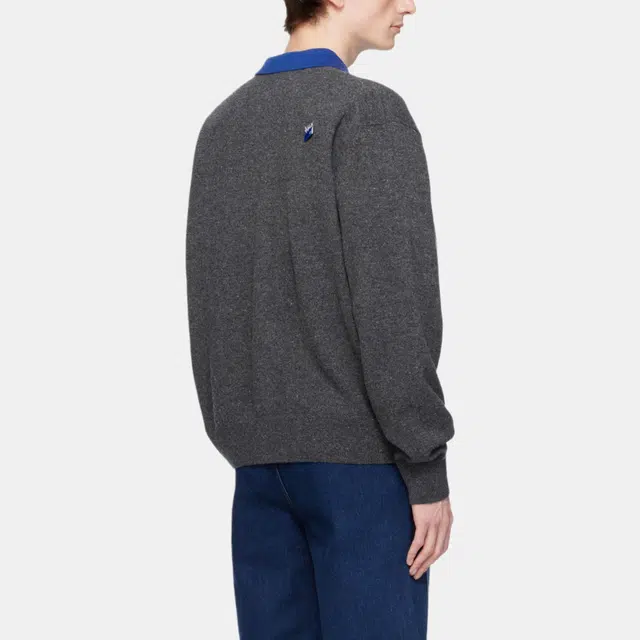 ADER ERROR Logo