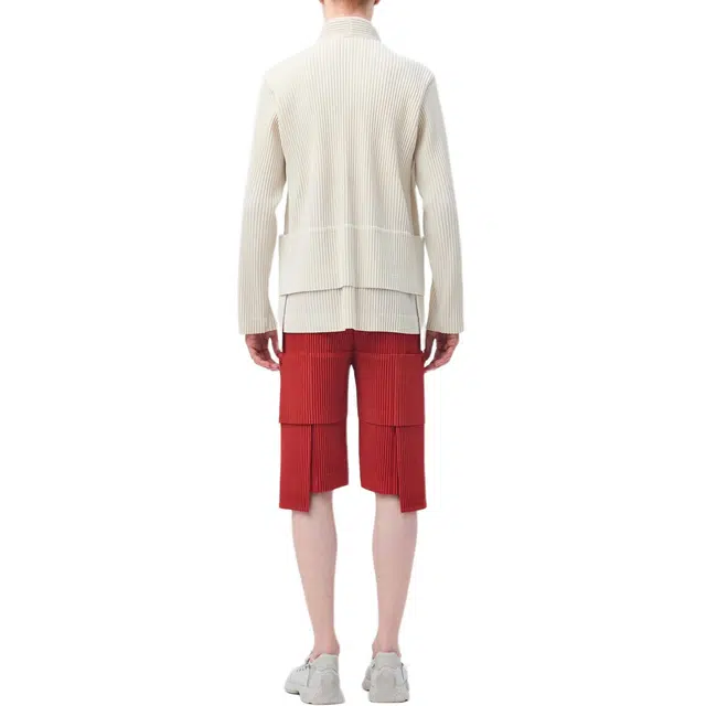 Homme Pliss Issey Miyake FW25