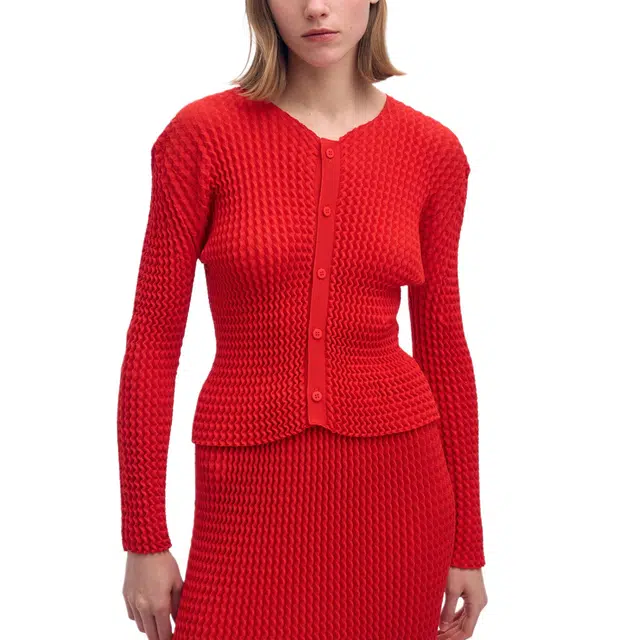 ISSEY MIYAKE FW25