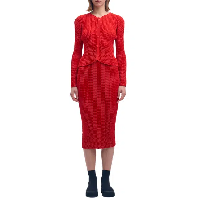 ISSEY MIYAKE FW25