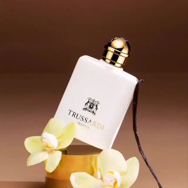 EDP 100ml+200ml+200ml