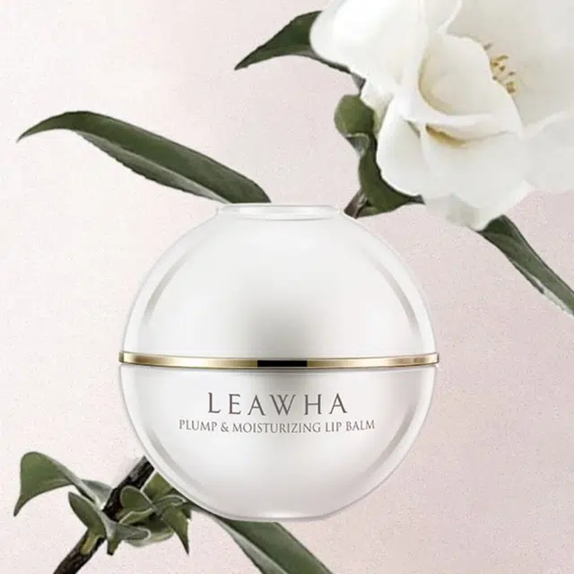 LEAWHA 4g*2