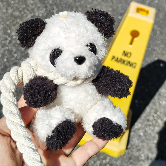 20cm