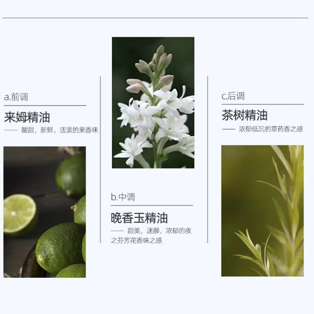 善草纪 三代茶树清透控油护肤套装 保湿滋润