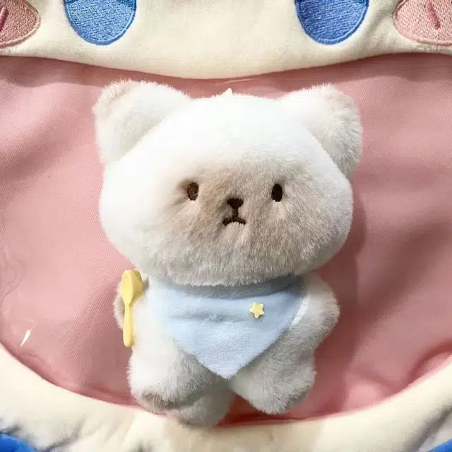 15cm