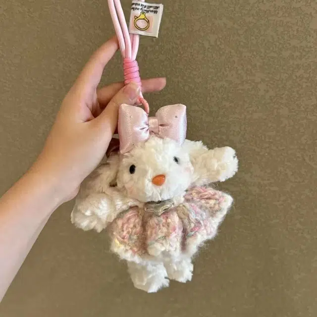 15cm