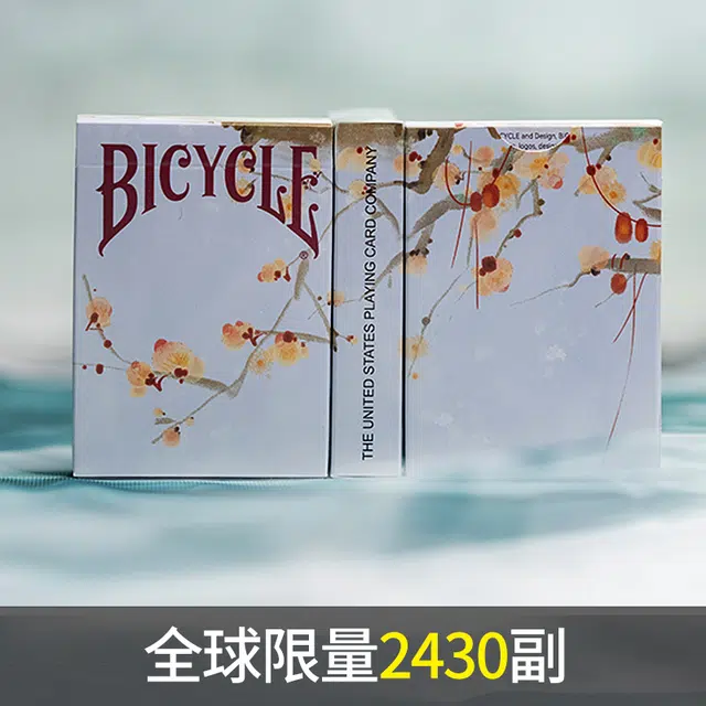 汇奇花切 国风春夏秋冬二十四节气精致 水墨  花切