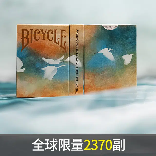 汇奇花切 国风春夏秋冬二十四节气精致 水墨  花切