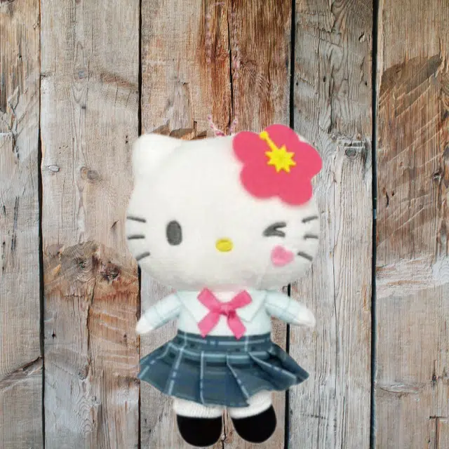 Sanrio Hello Kitty 15cm16cm