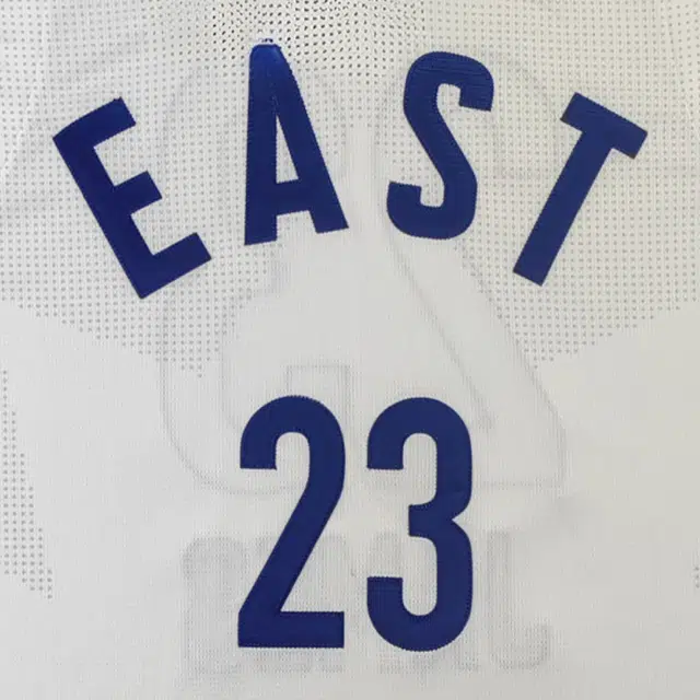 adidas x NBA SWINGMAN