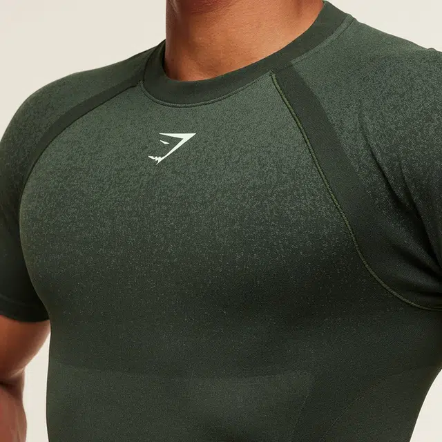 GYMSHARK Shadow Seamless T
