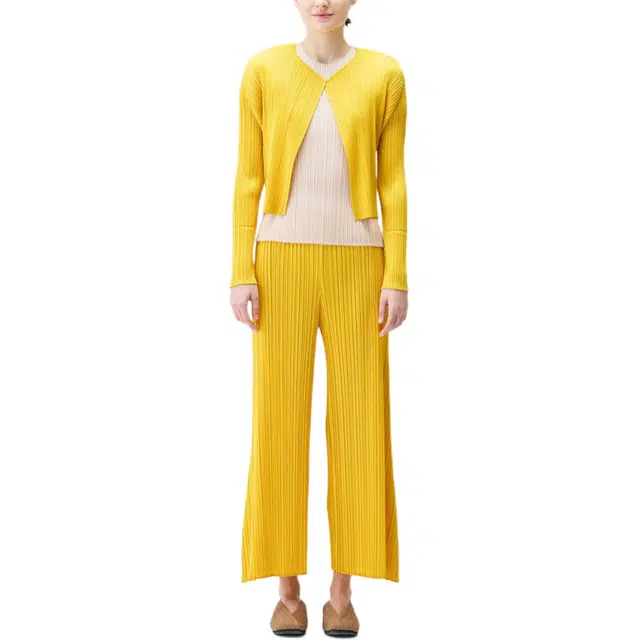 ISSEY MIYAKE FW25 V